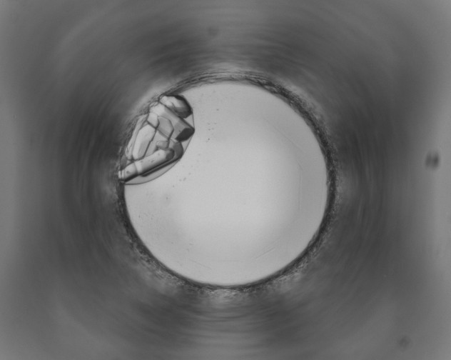 X0000091001314200708021216
