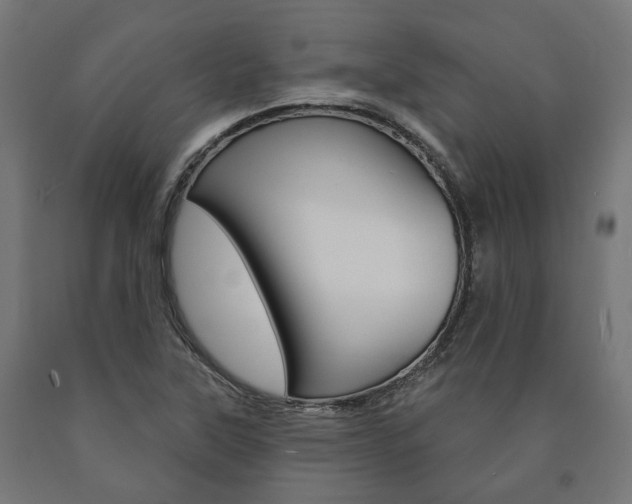 X0000091001315200708021216