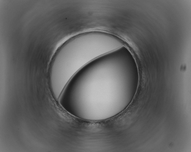 X0000091001316200708021216