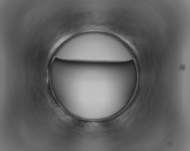 X0000091001317200708021216