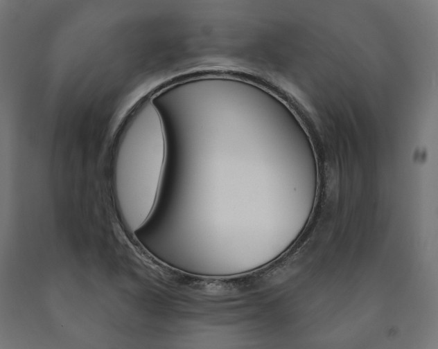 X0000091001318200708021216