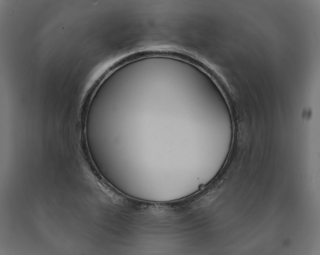 X0000091001319200708021216