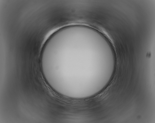 X0000091001320200708021216