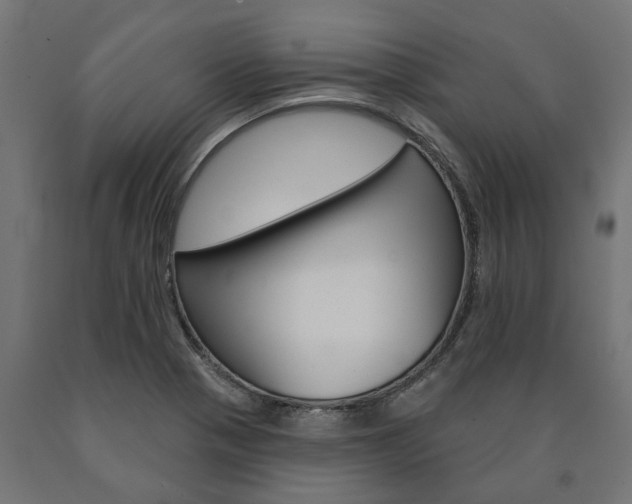 X0000091001321200708021216