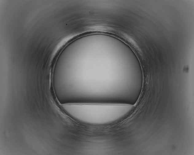 X0000091001323200708021216