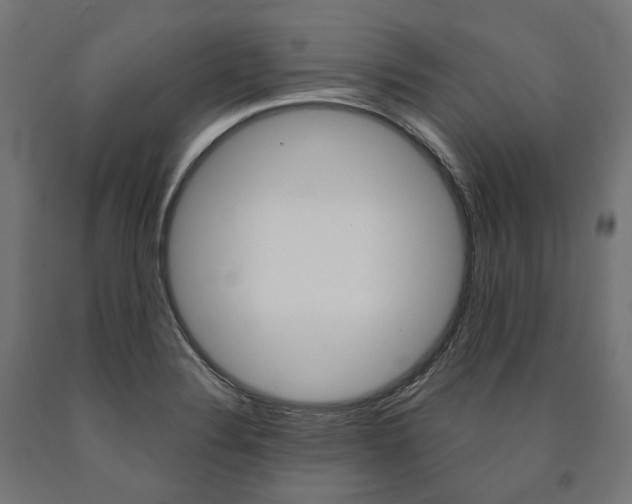 X0000091001324200708021216