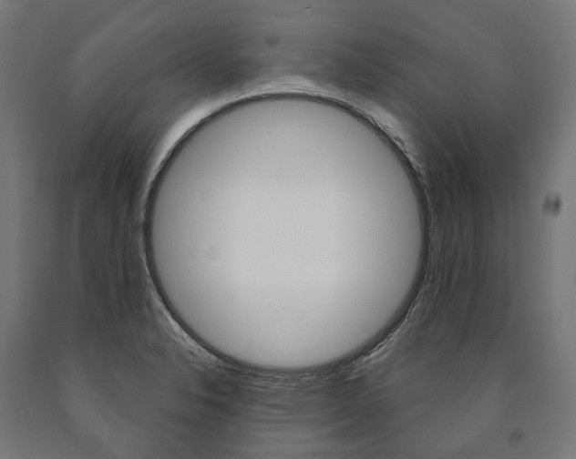 X0000091001326200708021216
