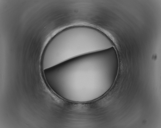 X0000091001327200708021216
