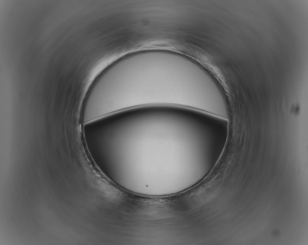 X0000091001328200708021216