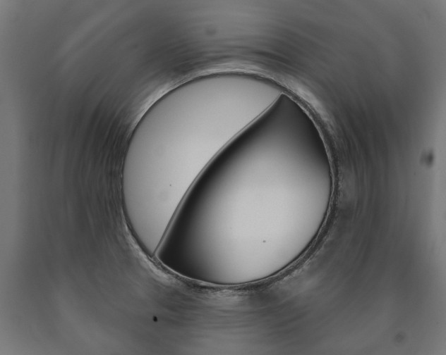 X0000091001329200708021216