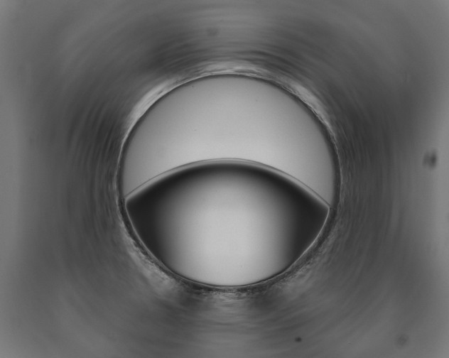 X0000091001330200708021217