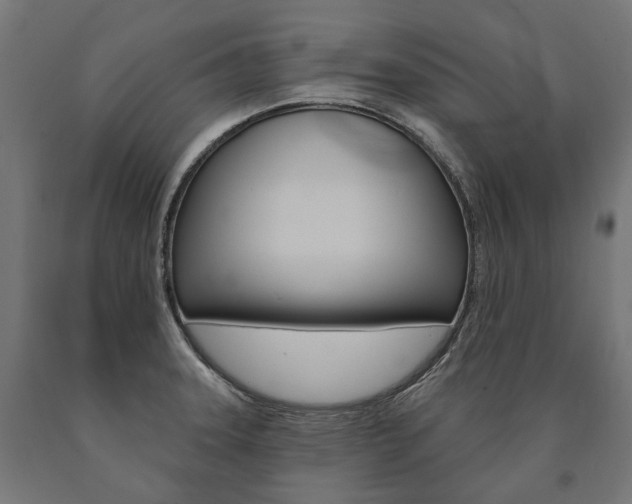 X0000091001331200708021217
