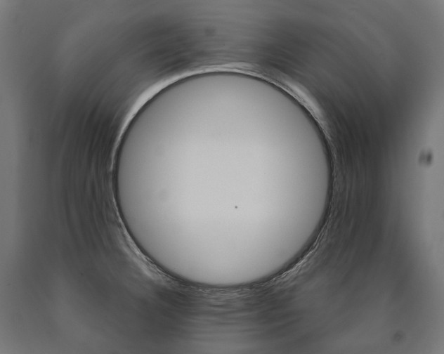 X0000091001332200708021217