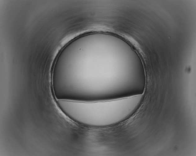 X0000091001335200708021217