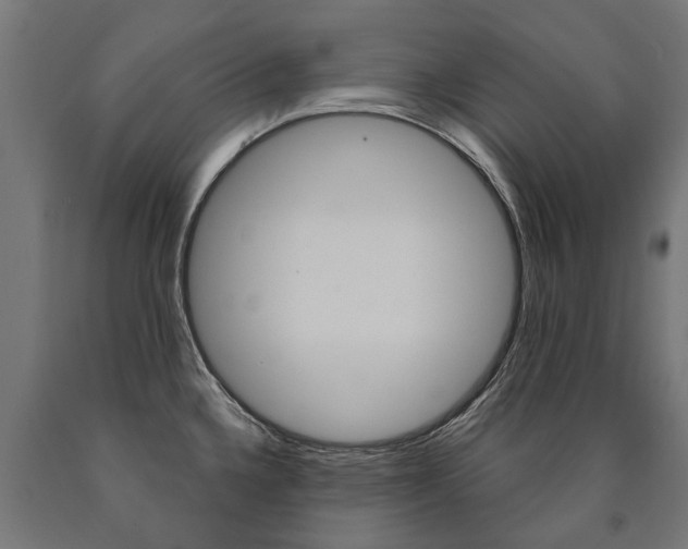 X0000091001336200708021217