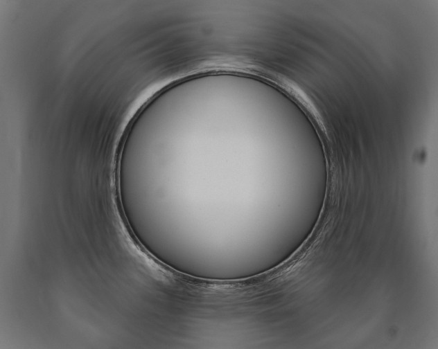 X0000091001339200708021217
