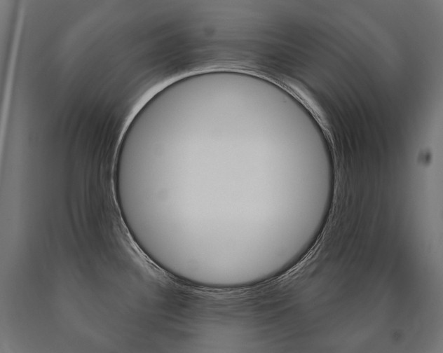 X0000091001340200708021217