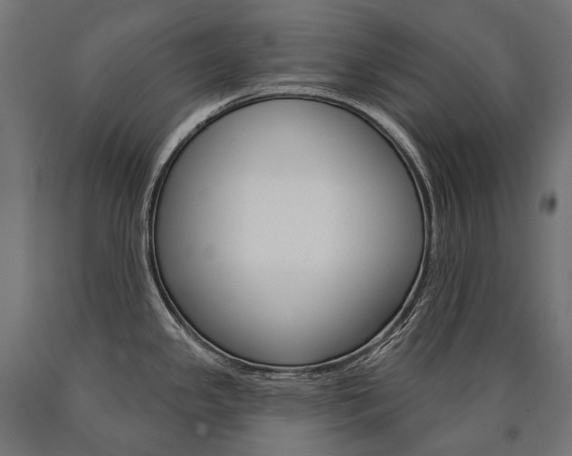 X0000091001341200708021217