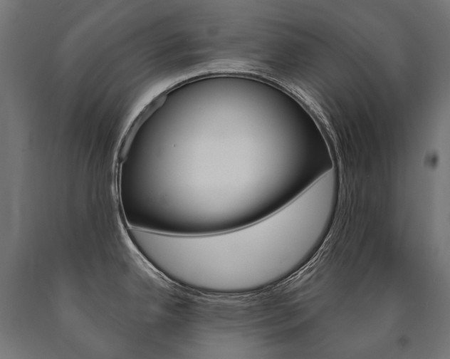 X0000091001342200708021217