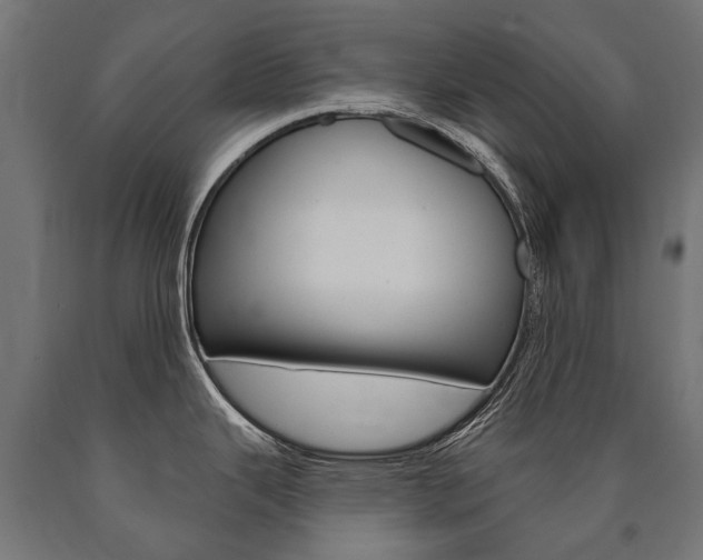X0000091001343200708021217