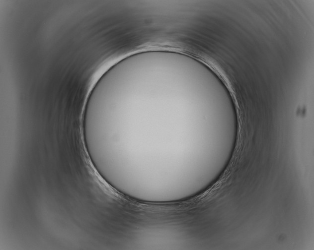 X0000091001344200708021217