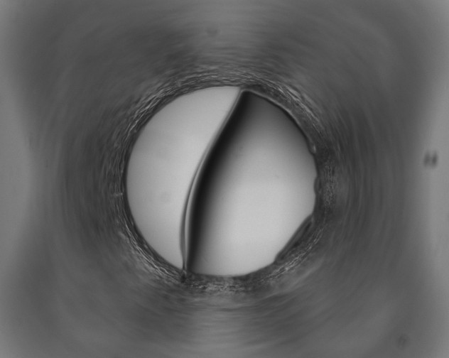 X0000091001345200708021216