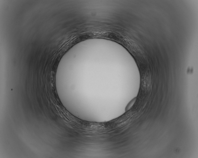 X0000091001346200708021216