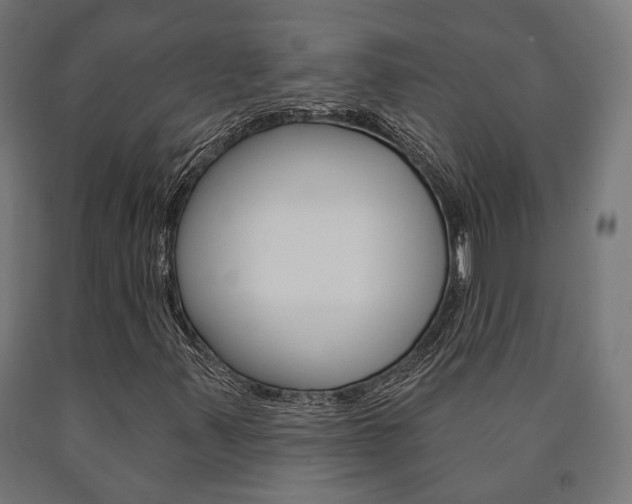 X0000091001347200708021216
