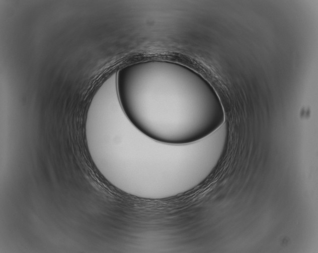 X0000091001348200708021216
