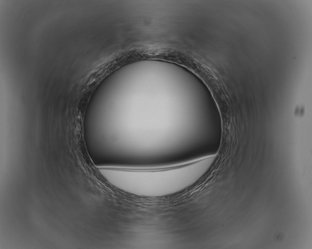 X0000091001349200708021216