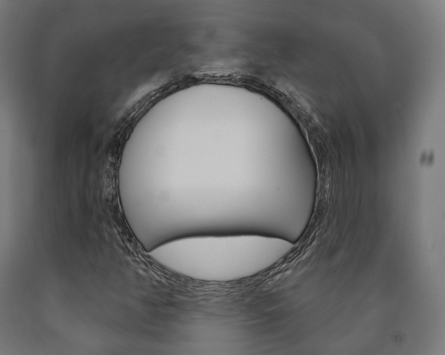 X0000091001350200708021216