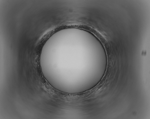 X0000091001351200708021216