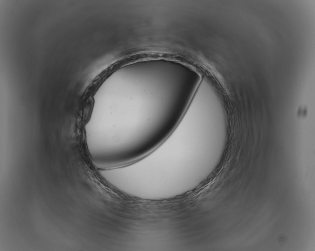 X0000091001352200708021216