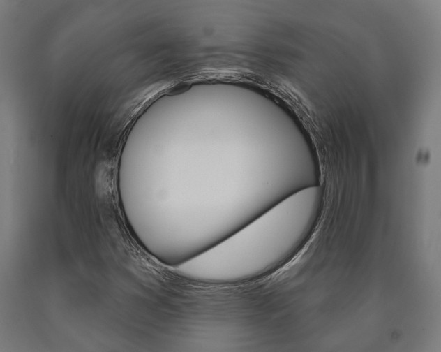 X0000091001353200708021216