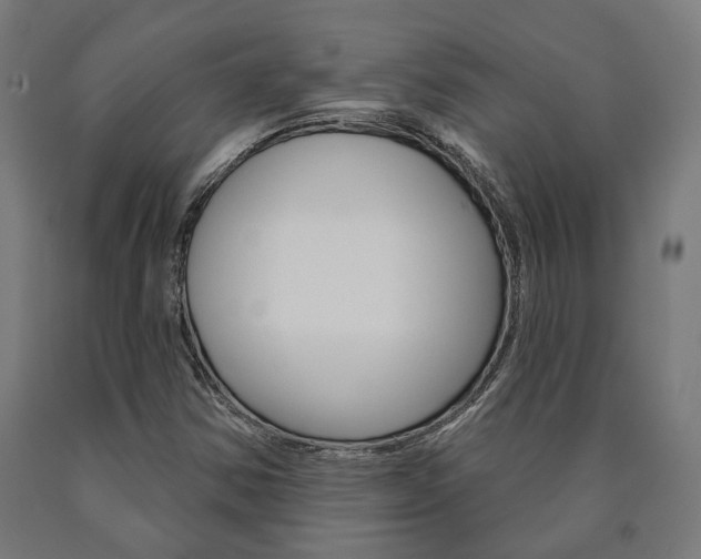 X0000091001354200708021216