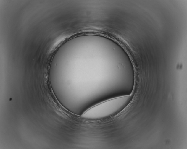 X0000091001355200708021216