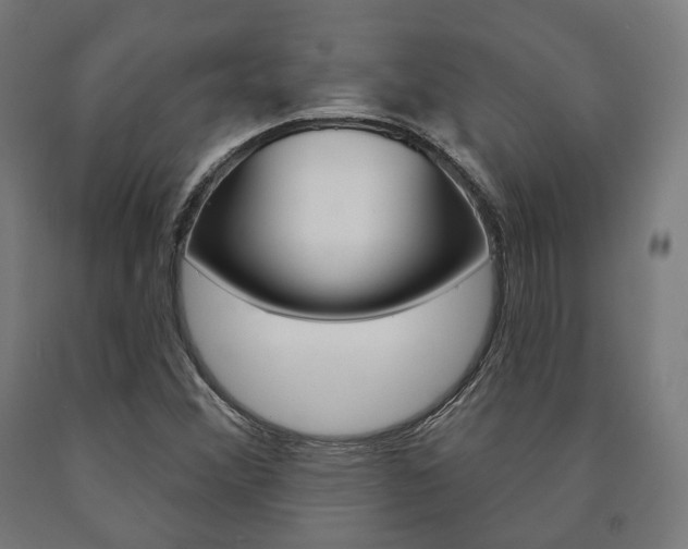 X0000091001356200708021216