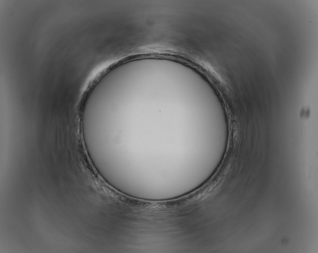 X0000091001358200708021216