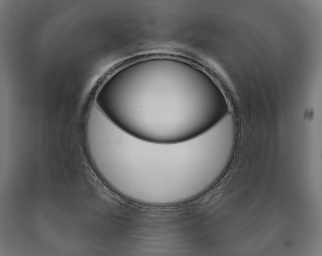 X0000091001360200708021216