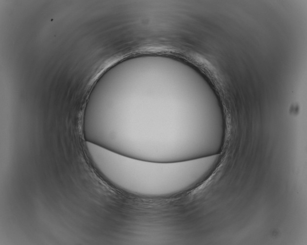 X0000091001361200708021216