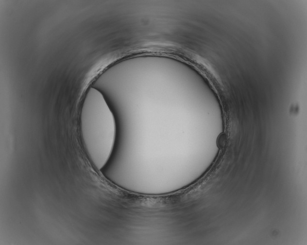 X0000091001362200708021216
