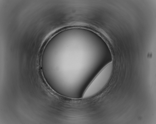 X0000091001364200708021216