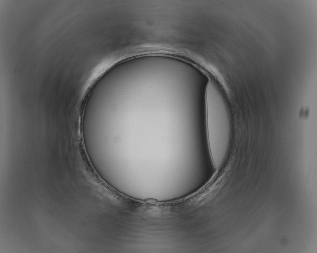 X0000091001365200708021216