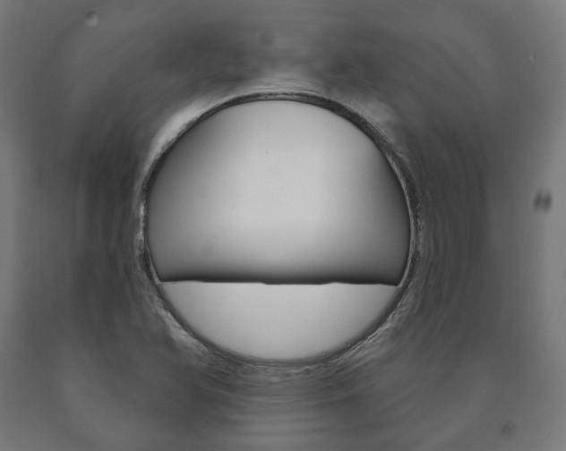 X0000091001366200708021216