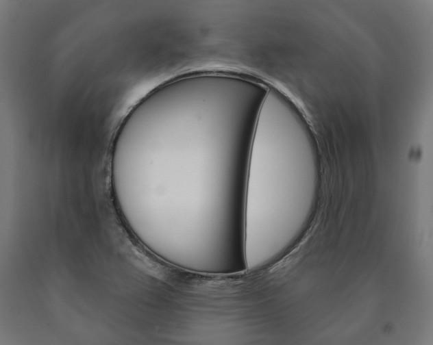 X0000091001367200708021216