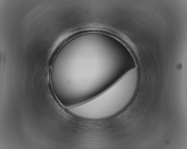 X0000091001368200708021216