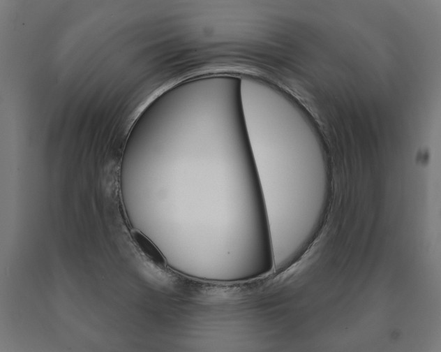 X0000091001369200708021216