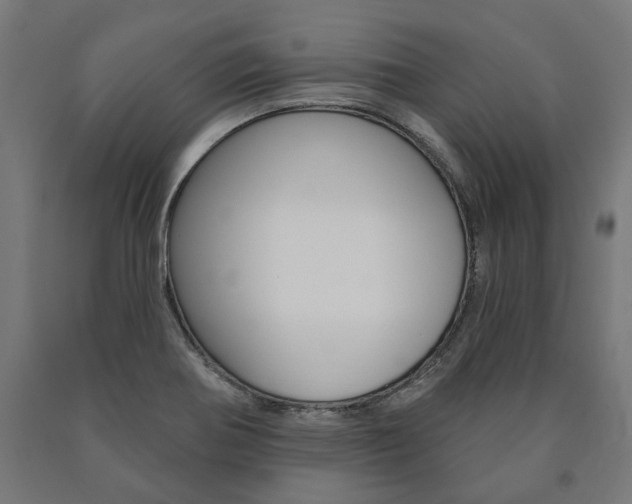 X0000091001370200708021216
