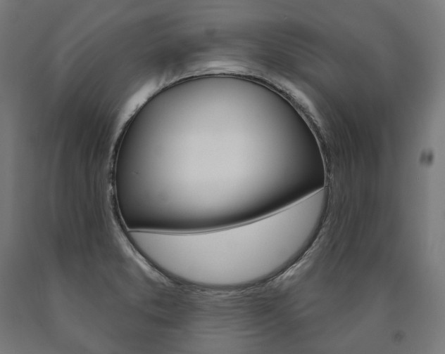 X0000091001373200708021216