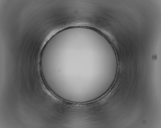 X0000091001374200708021216